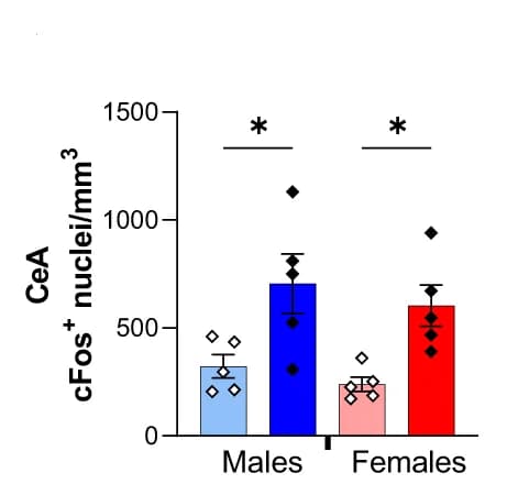 Open access visualization of Bar Plot, Error Bars, Clustered, Neuronal Activity, CeA