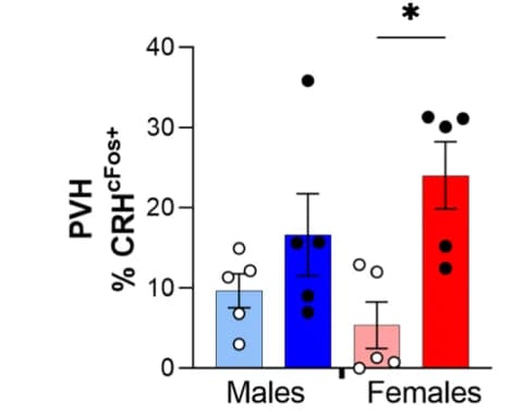 Open access visualization of Bar Plot, Error Bars, cFos-positive cells, PVH, CeA