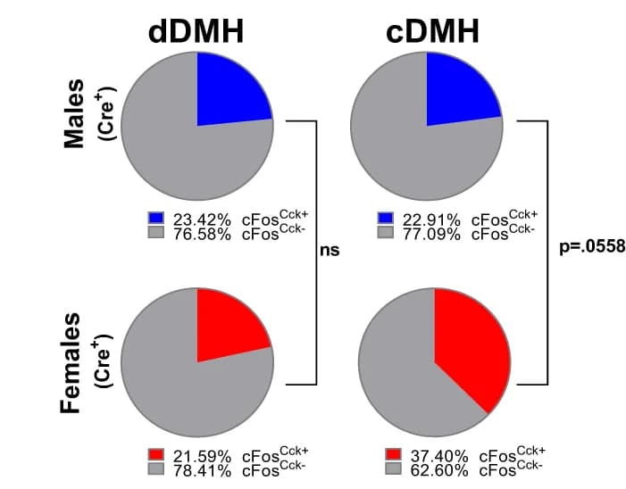 Open access visualization of Pie Chart, cFos-positive cells, CCK, dDMH, cDMH