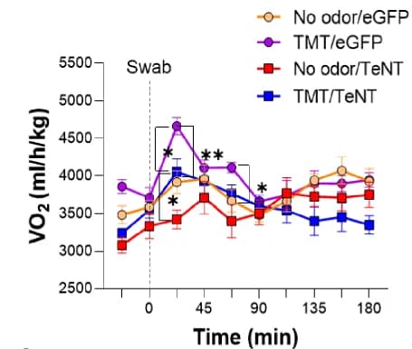 Open access visualization of Line Plot, Error Bars, VO2, TMT, Control Swab