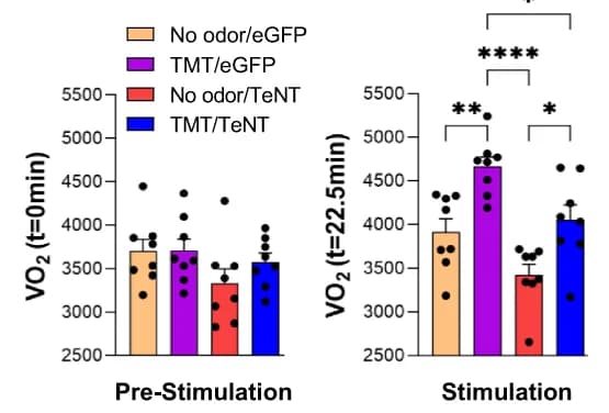 Open access visualization of Bar Plot, Error Bars, Scatter Plot, VO2, Stimulus Exposure