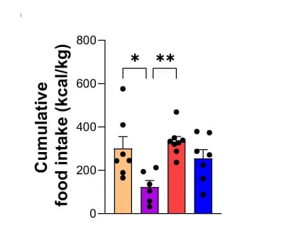 Open access visualization of Bar Plot, Error Bars, Scatter Plot, Cumulative Food Intake, Refeeding