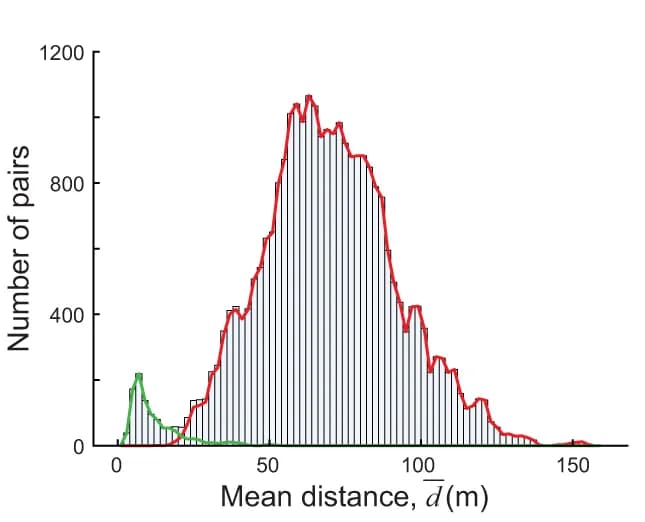 Open access visualization of Histogram, Line Plot, Density Plot, Pair Distance, Collective Movement