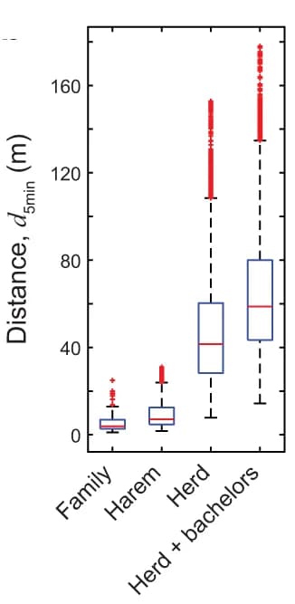 Open access visualization of Box Plot, Pairwise Distance, Movement Similarity, Horses, Same Family