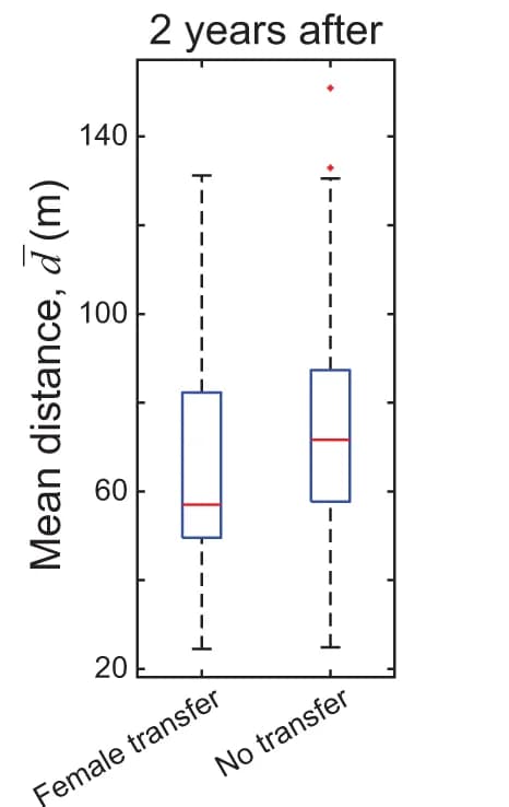 Open access visualization of Box Plot, Harems, Female Transfer, Movement, Distance