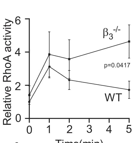 Open access visualization of Line Plot, Error Bars, Rhotekin-RBD bead pull down assay, RhoA activation, Mouse Platelets