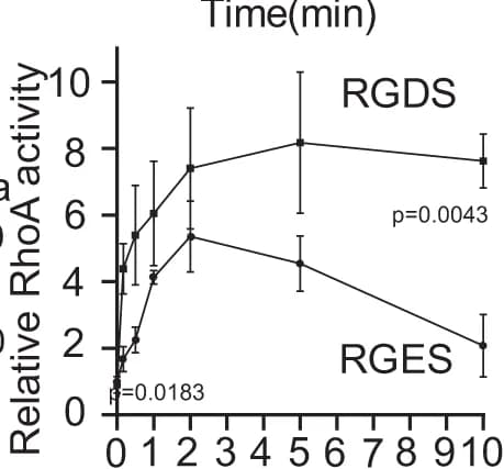 Open access visualization of Line Plot, Error Bars, RhoA pull down assay, RGDS, RGES