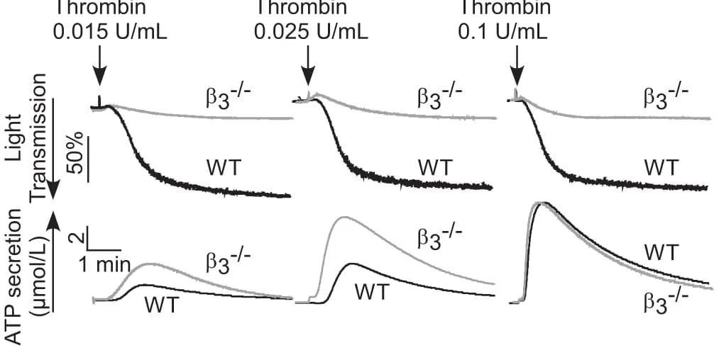 Open access visualization of Line Plot, Aggregation, ATP Secretion, Platelets, Thrombin
