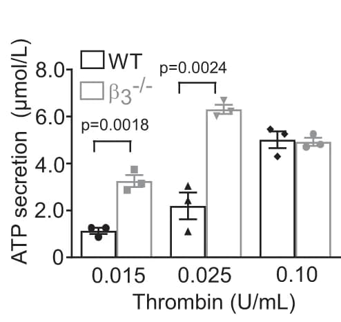 Open access visualization of Bar Plot, Error Bars, Scatter Plot, ATP Secretion, Quantification