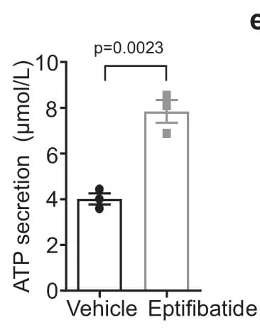 Open access visualization of Bar Plot, Error Bars, ATP Secretion, Quantification