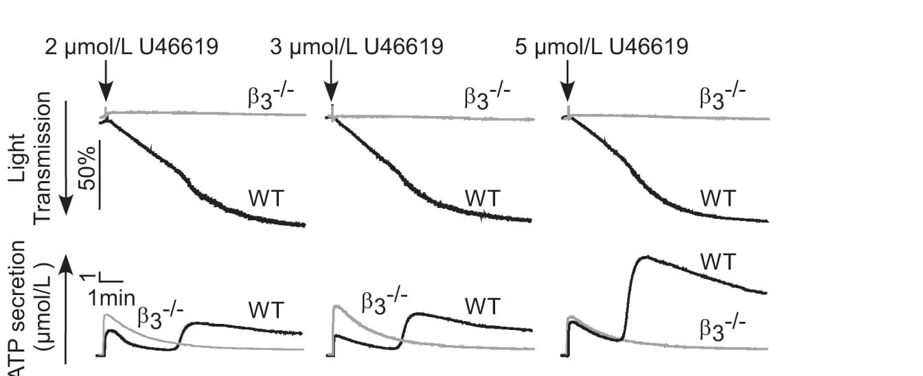 Open access visualization of Line Plot, Aggregation, ATP Secretion, Platelets, U46619