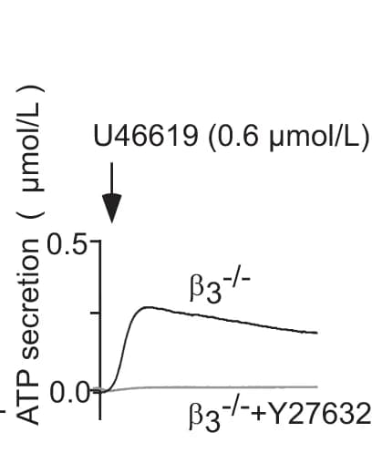 Open access visualization of Line Plot, ATP Secretion, β 3 -/- Platelets, Y27632, U46619