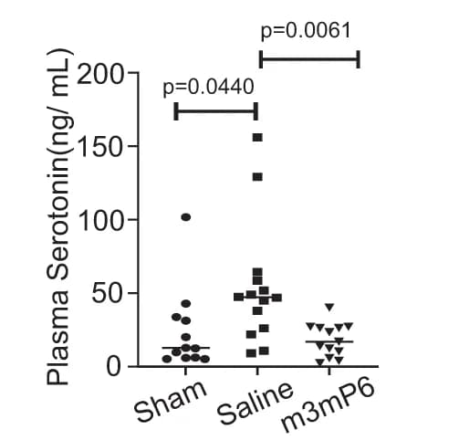 Open access visualization of Scatter Plot, Plasma Serotonin Levels, Myocardial Infarction, Reperfusion, Peptide Nanoparticles