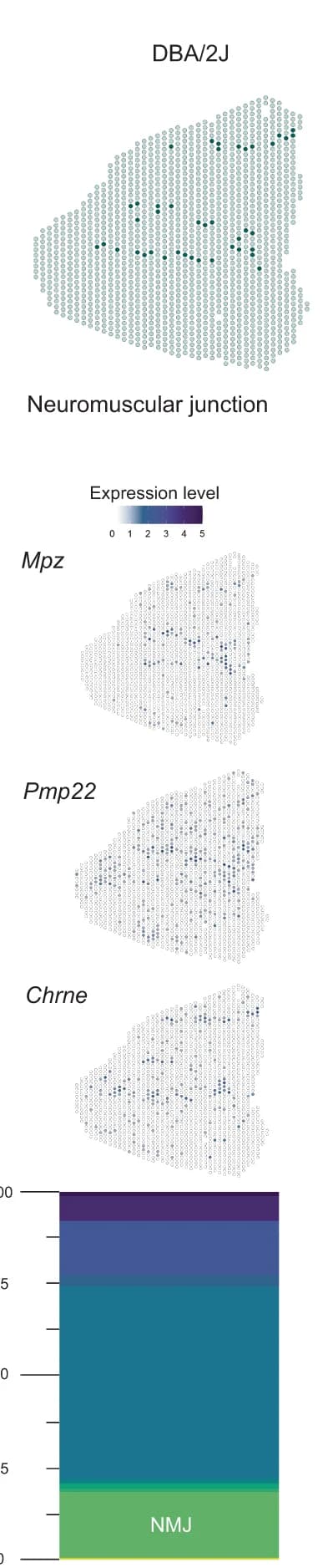 Open access visualization of Scatter Plot, Bar Plot, Stacked Bar Plot, Deconvolution, Neuromuscular Junction