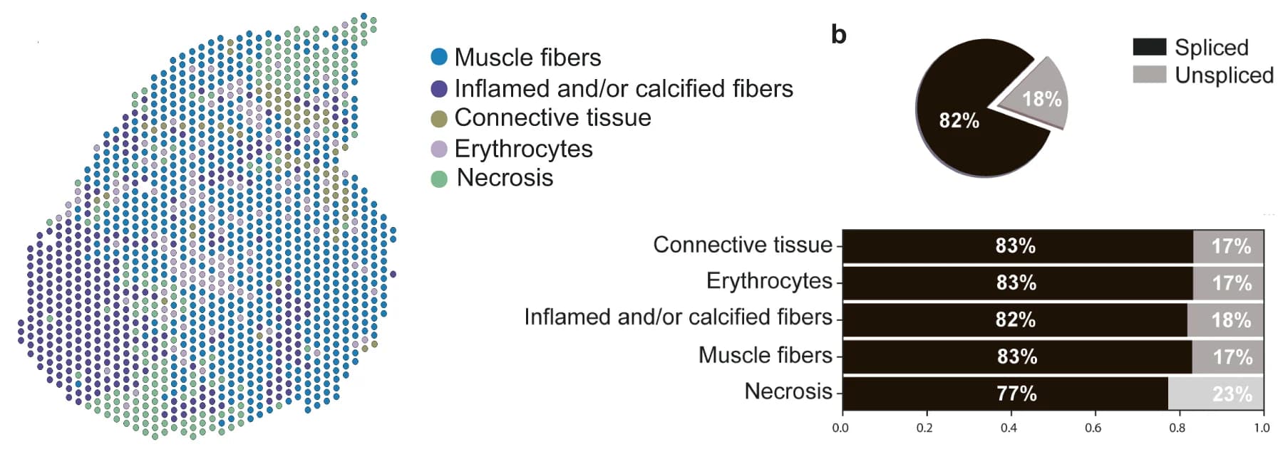 Open access visualization of Scatter Plot, Bar Plot, Pie Chart, Stacked Bar Plot, Clusters