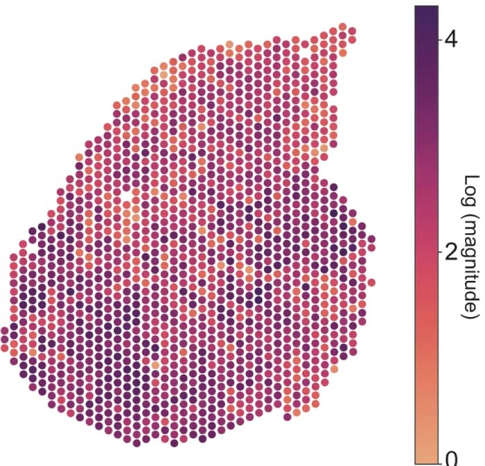 Open access visualization of Scatter Plot, Bubble Plot, Geo Map, RNA velocity, Spot