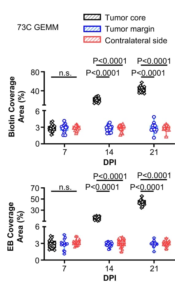 Open access visualization of Scatter Plot, Evans Blue Coverage, 73 C GEMMs, Area Fraction, Mean