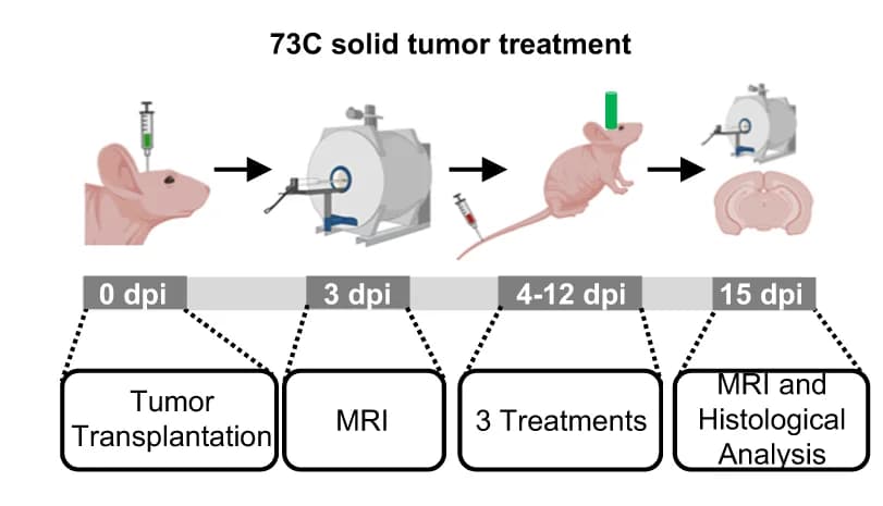 Open access visualization of Workflow, Illustration, Treatment Timeline