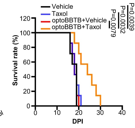 Open access visualization of Line Plot, Line Step, Survival Curve, Kaplan-Meier Survival Analysis