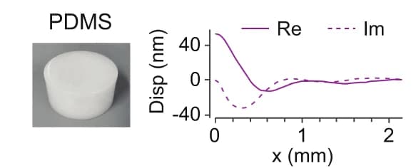Open access visualization of Line Plot, PDMS, Rayleigh Surface Wave Displacement Profile