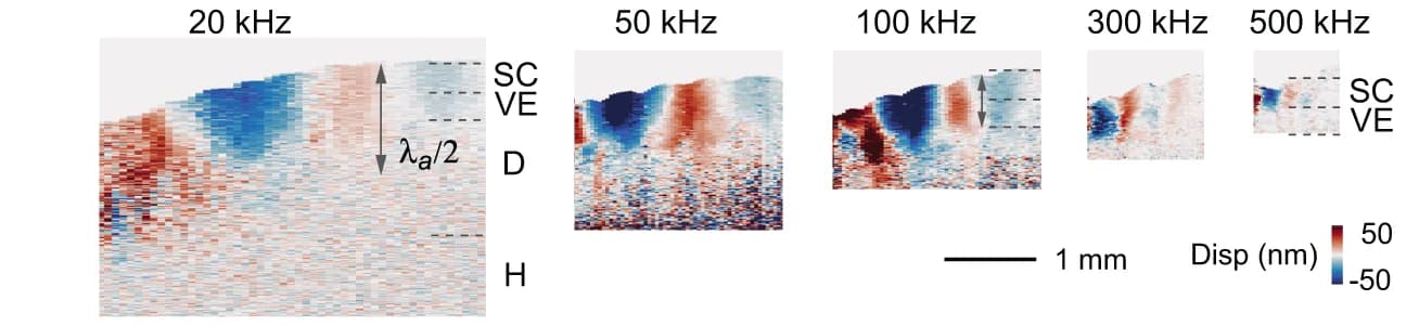 Open access visualization of Heatmap, Displacement Images, Fingertip, Rayleigh Surface Wave, Frequency