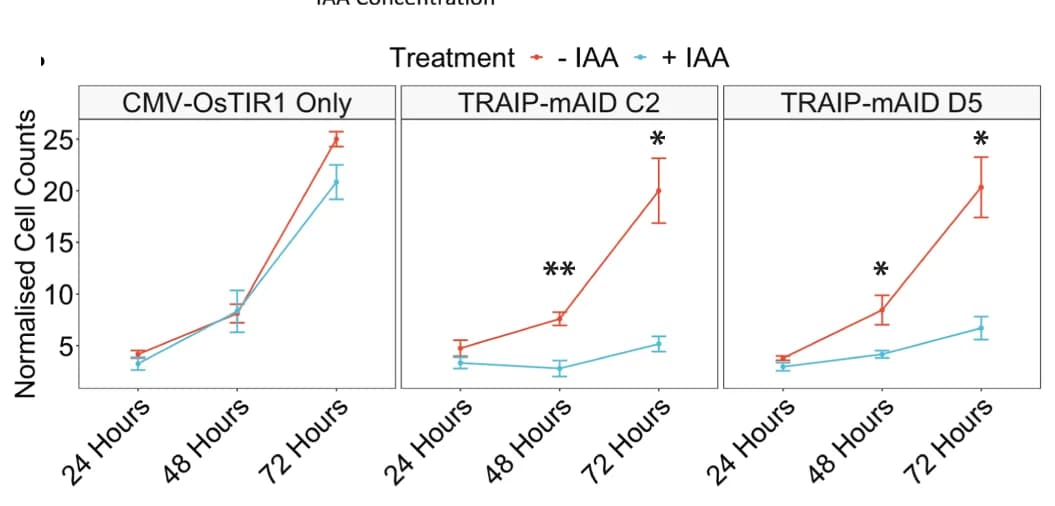 Open access visualization of Line Plot, Error Bars, TRAIP-mAID Cells, Auxin, Cell Proliferation