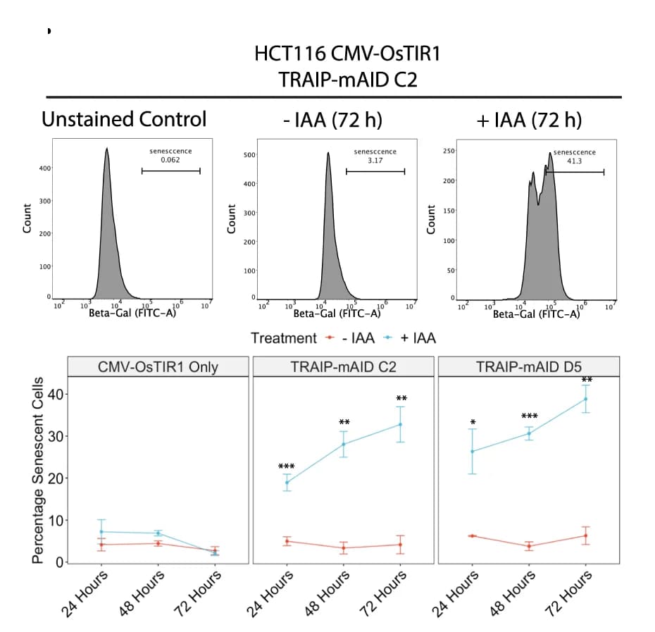 Open access visualization of Line Plot, Error Bars, Histogram, Density Plot, TRAIP-mAID Cells