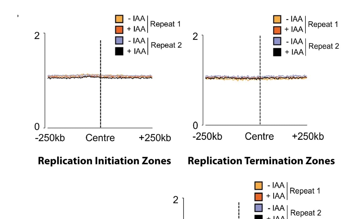 Open access visualization of Line Plot, gammaH2AX, ChIP Signal, Replication Initiation, Replication Termination