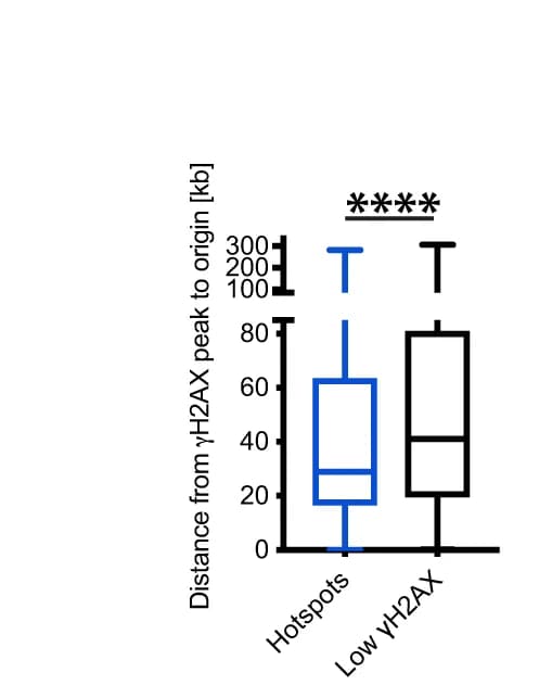 Open access visualization of Box Plot, gammaH2AX Peaks, TSS, Hotspots, Replication Origins