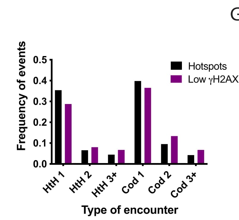 Open access visualization of Bar Plot, Clustered, Transcribed Genes, Replication Forks, Replication Origin