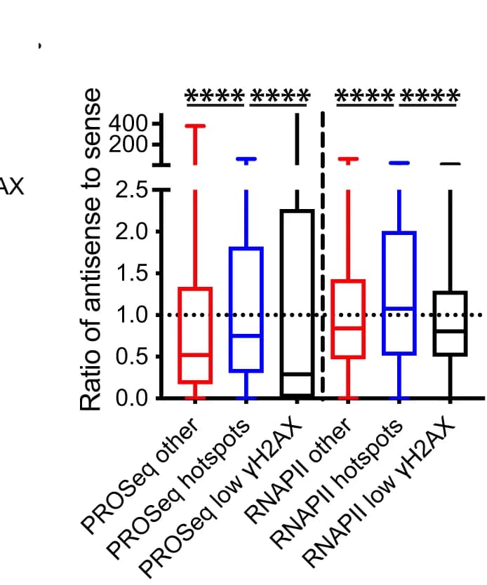 Open access visualization of Box Plot, Antisense Transcription, Sense Transcription, TSS, Hotspots