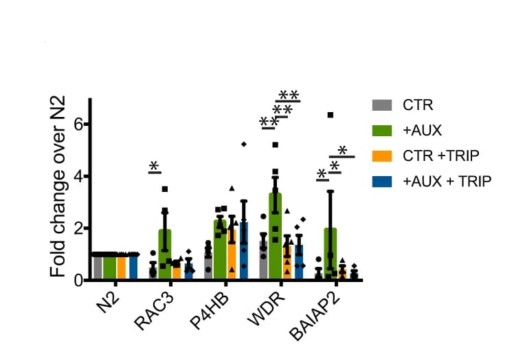 Open access visualization of Bar Plot, Error Bars, Scatter Plot, HCT116 TRAIP-mAID cells, H2AX ChIP