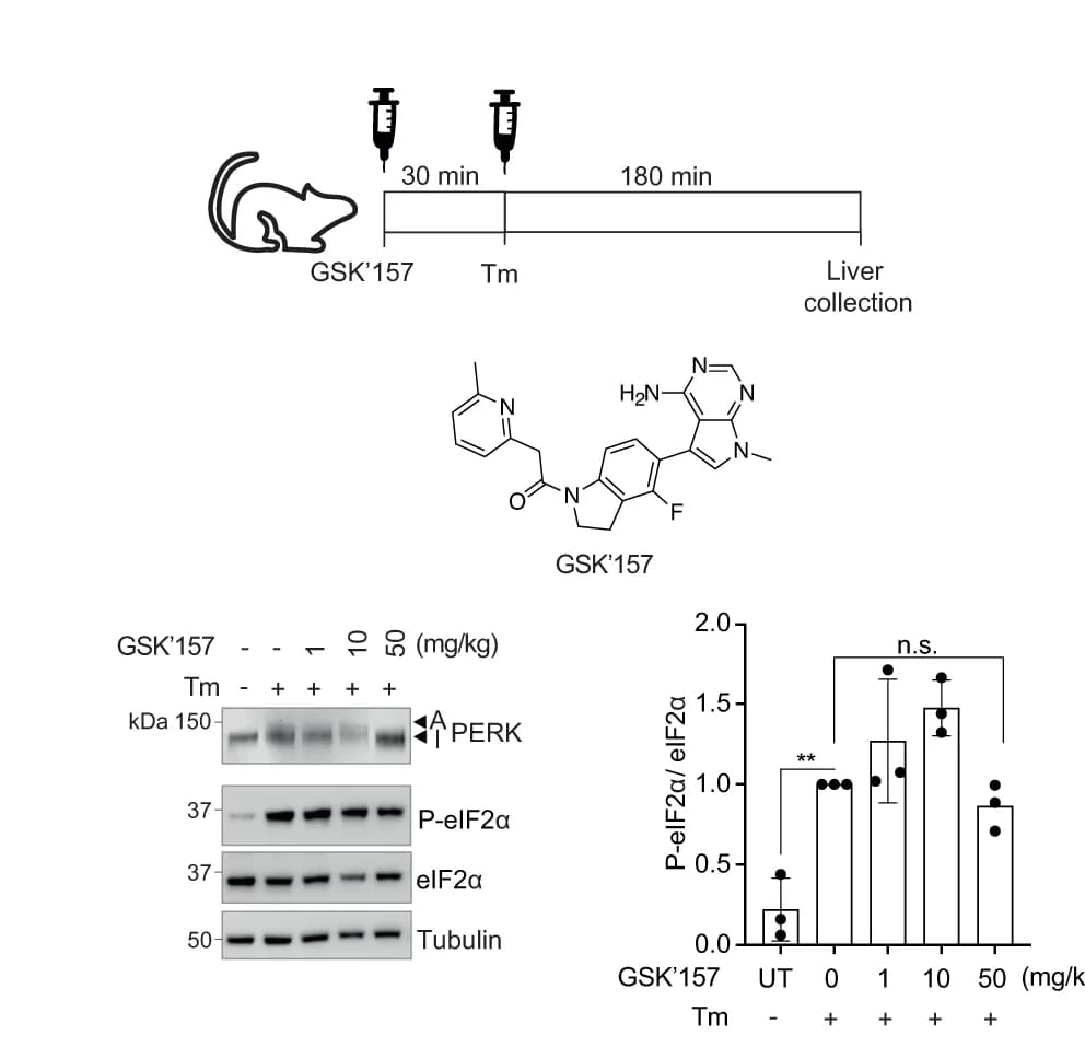 Open access visualization of Bar Plot, Error Bars, Gel, Chemical Structure, Illustration
