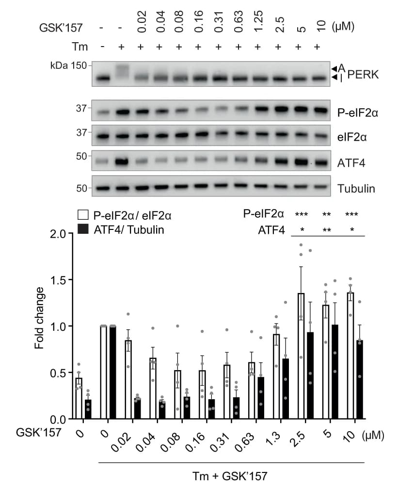 Open access visualization of Bar Plot, Error Bars, Photo, Gel, Immunoblots