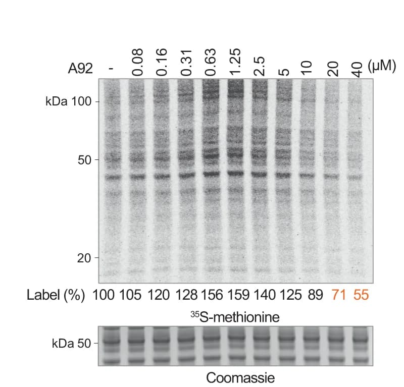 Open access visualization of Gel, A92