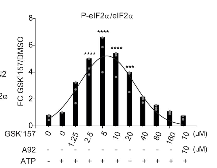 Open access visualization of Bar Plot, Line Plot, Scatter Plot, P-eIF2α, eIF2α