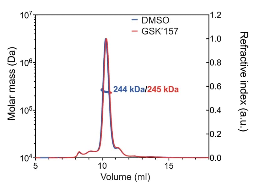 Open access visualization of Line Plot, Size-Exclusion Chromatography, Multiangle Light Scattering, SEC-MALS, Recombinant Protein