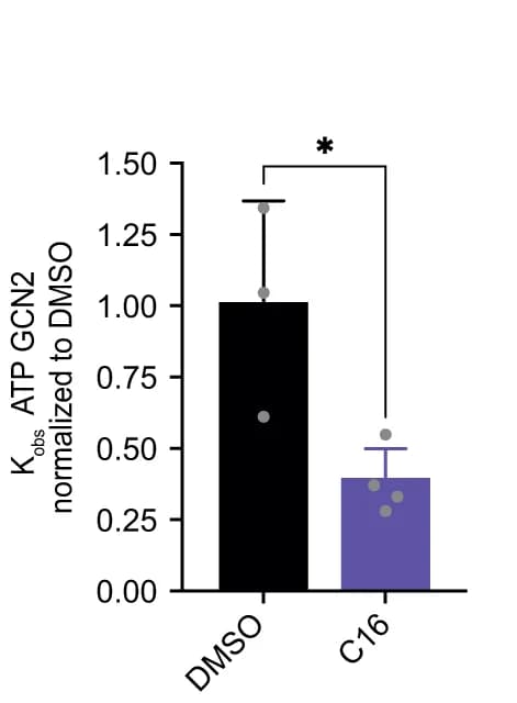 Open access visualization of Bar Plot, Error Bars, C16, DMSO, T-test