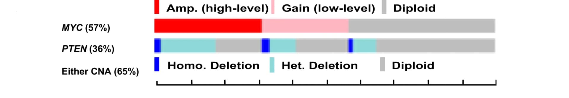 Open access visualization of Bar Plot, Stacked Bar Plot, Copy Number Alteration, MYC, Amplification