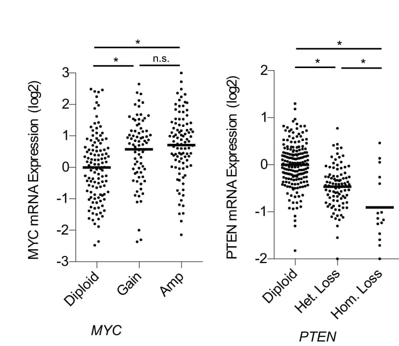 Open access visualization of Scatter Plot, mRNA expression, MYC, PTEN, ER-/HER2- Patients