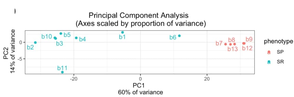 Open access visualization of Scatter Plot, PCA, Principal Component Analysis, RNAseq, Tumors