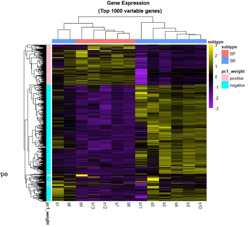 Open access visualization of Heatmap, Clustered, Gene Expression Heatmap, Variable Genes, Principal Component Analysis