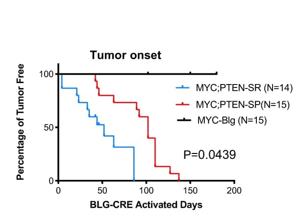 Open access visualization of Survival Curve, Line Step, Line Plot, Mammary Gland Tumor, Tumor Histology