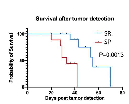 Open access visualization of Survival Curve, Line Plot, Survival Analysis, Tumor Detection, Stromal-Rich