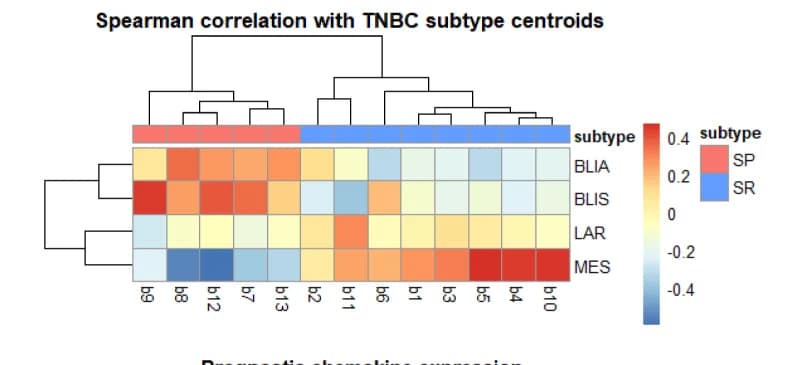 Open access visualization of Heatmap, Clustered, Spearman Correlation, Tumors, Human TNBC Subtypes