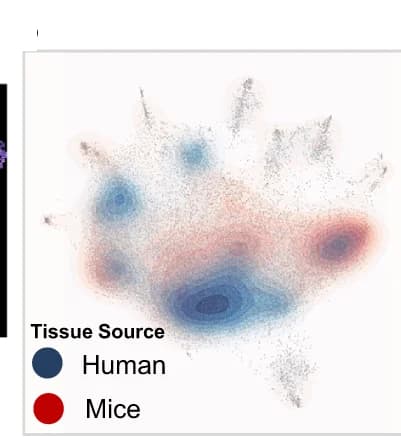 Open access visualization of Scatter Plot, Density Plot, UMAP, Density functions, Human