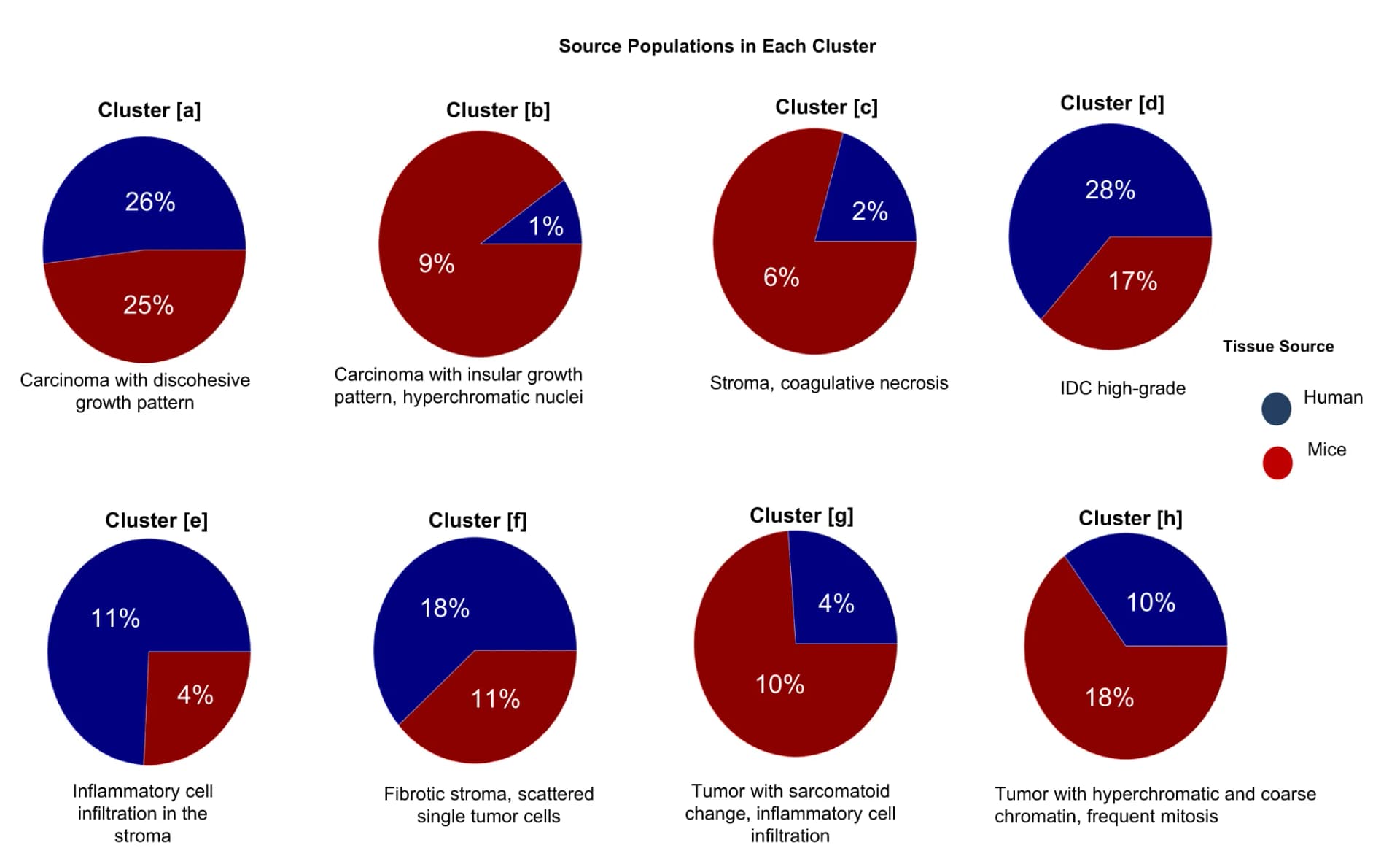 Open access visualization of Pie Chart, Relative abundance, Human, Mouse, Tumor tiles