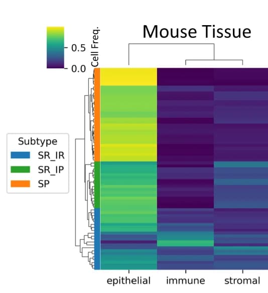 Open access visualization of Heatmap, Clustered, Hierarchical Clustering, Tumor Samples, Cell Type Frequency