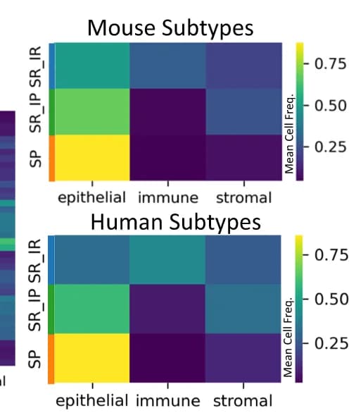Open access visualization of Heatmap, Cell Type Frequency, Subtypes, TNBC Samples, Heat Map