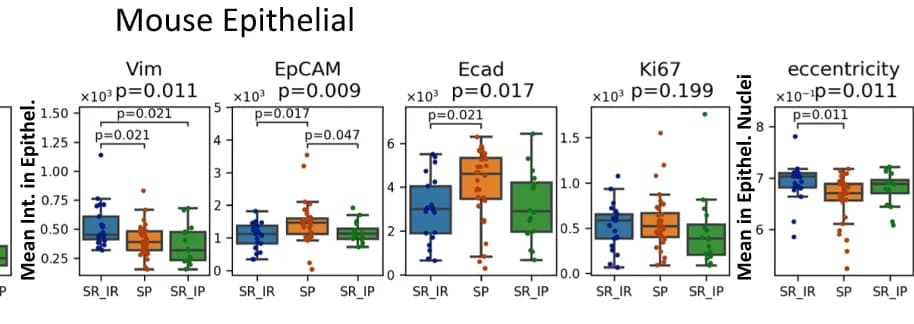 Open access visualization of Box Plot, Scatter Plot, Epithelial Expression, Mesenchymal, Epithelial